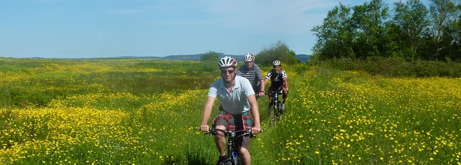 Head for the Hill 2021